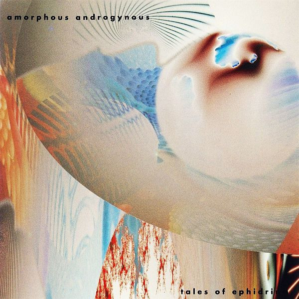 L'album de FSOL sous le nom d'Amorphous Androgynous